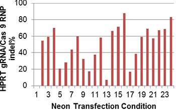 Transfection optimization Transfection optimization