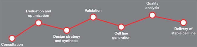Cell Line Design Cell Line Design