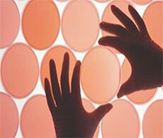 TALEN Design to Validation Services TALEN Design to Validation Services