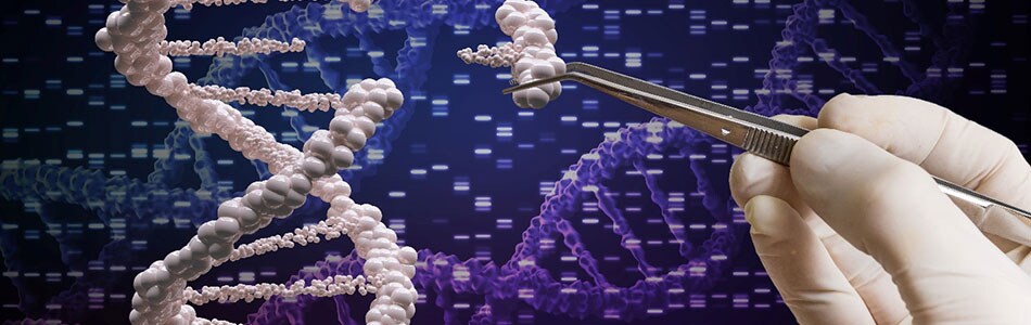 webinar-banner-200529 webinar-banner-200529