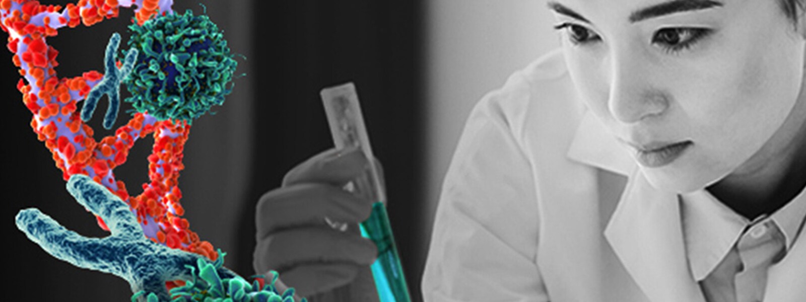 管理数据 管理数据