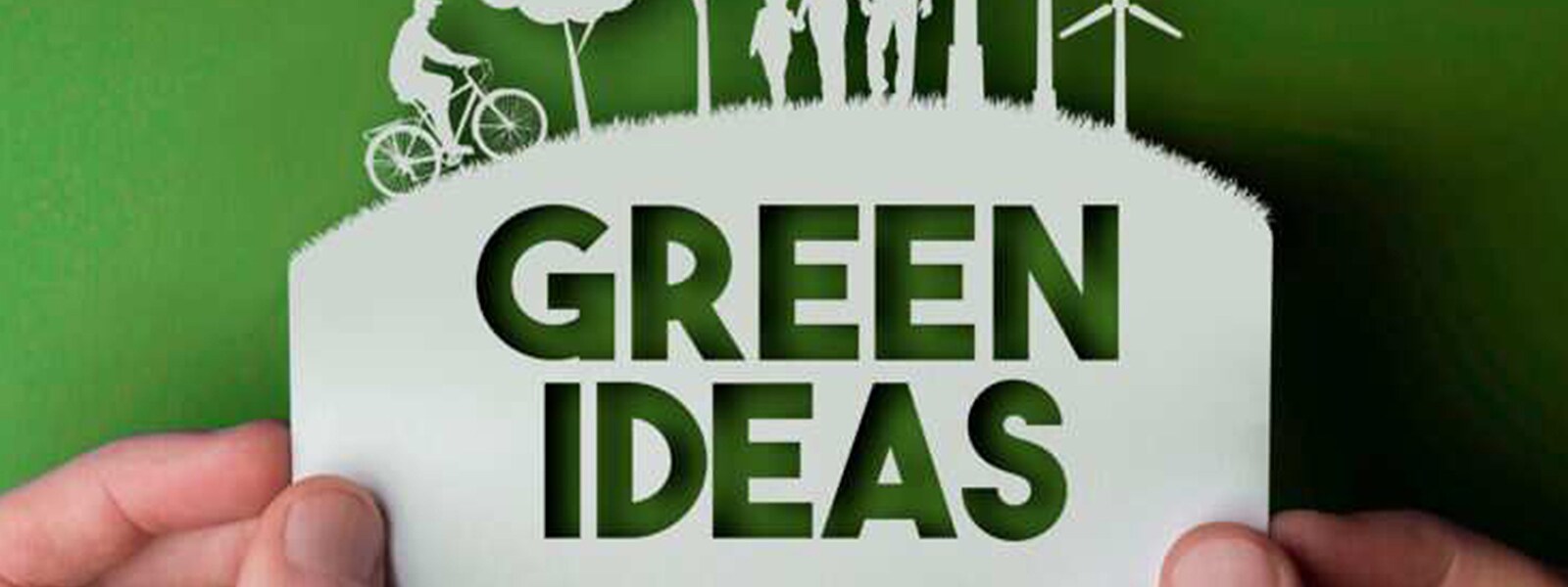 5 个实验室迷思 5 个实验室迷思