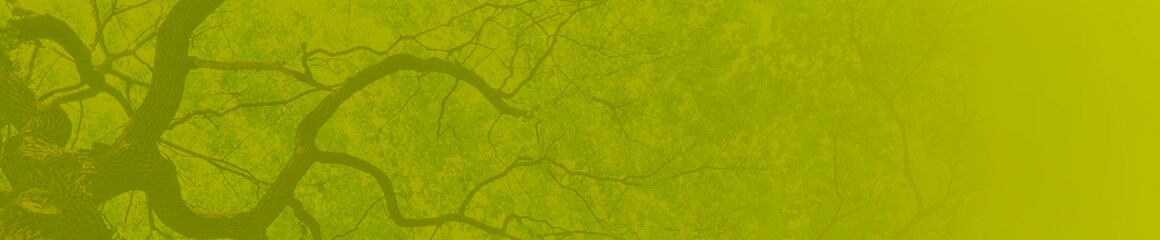 可持续性 可持续性