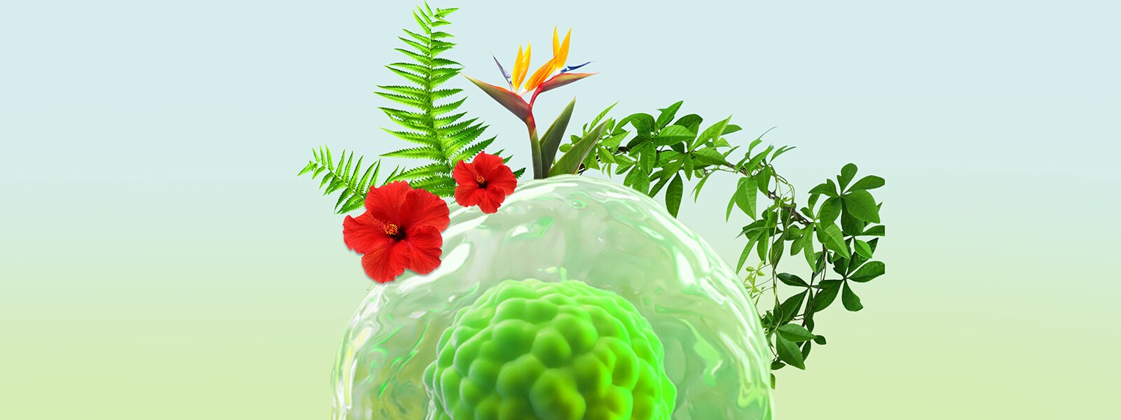 细胞培养 细胞培养