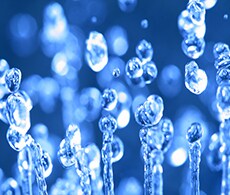 Dissolved Oxygen Dissolved Oxygen