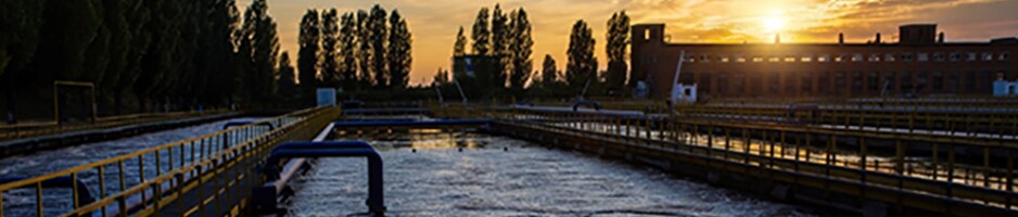 1648500885692.jpg 1648500885692.jpg