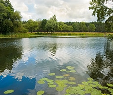 在高海拔地区测量溶解氧 在高海拔地区测量溶解氧