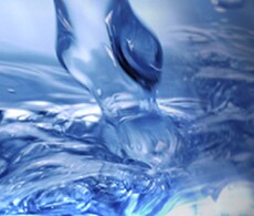 离子选择电极 ISE 测量 离子选择电极 ISE 测量