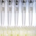Pipetting Resources Image of pipettes illustrating resources