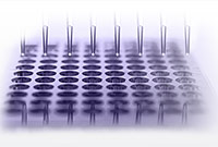 200x-webinars-02 200x-webinars-02