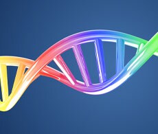 Copy Number Analysis with Microarrays Copy Number Analysis with Microarrays