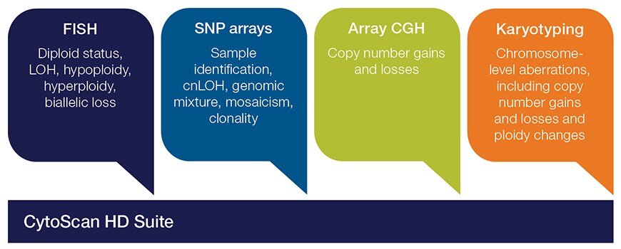cytoscan-hd-suite-for-hematological-malignancies cytoscan-hd-suite-for-hematological-malignancies