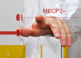 CytoScan-XON-Suite.jpg CytoScan-XON-Suite.jpg