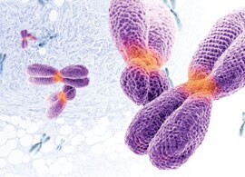 OncoScan CNV Assays For Whole Genome Copy Number Analysis OncoScan CNV Assays For Whole Genome Copy Number Analysis