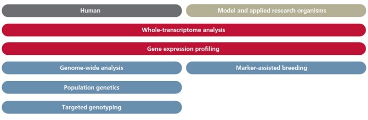 基因分型研究 基因分型研究