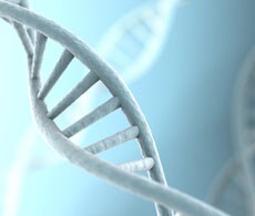 微阵列分析样品数据 微阵列分析样品数据