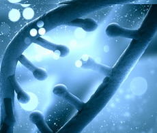 mirna-analysis-sho mirna-analysis-sho