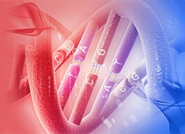 通用引物合成 通用引物合成