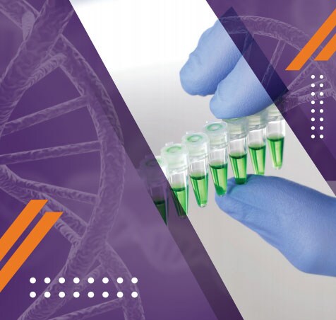 5 Steps to PCR DNA helix as cloud