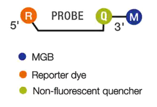 probe-dpcr-0 probe-dpcr-0