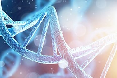 二代测序文库定量 二代测序文库定量