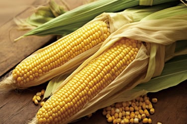 图示为用于数字 PCR 的基于 TaqMan 探针的检测试剂盒组件 图示为用于数字 PCR 的基于 TaqMan 探针的检测试剂盒组件