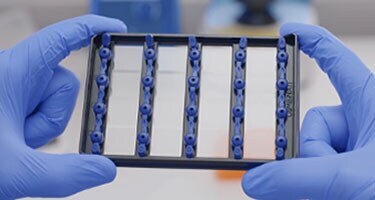 QuantStudio Absolute Q AutoRun 套件 QuantStudio Absolute Q AutoRun 套件