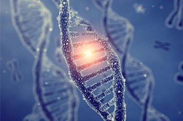 用于 QuantStudio Absolute Q 数字 PCR 系统的芯片板和其他耗材 用于 QuantStudio Absolute Q 数字 PCR 系统的芯片板和其他耗材