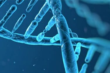 实验室内准备 dPCR 自动化运行的科学家 实验室内准备 dPCR 自动化运行的科学家