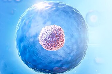 细胞&基因治疗开发解决方案 细胞&基因治疗开发解决方案