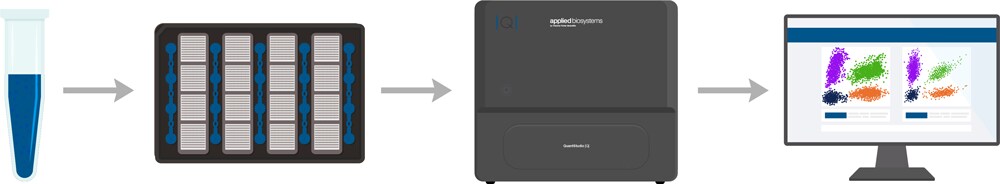 AbsoluteQ-Workflow-Graphic-Blue AbsoluteQ-Workflow-Graphic-Blue