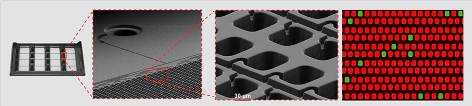 quantstudio-absolute-q-2 quantstudio-absolute-q-2