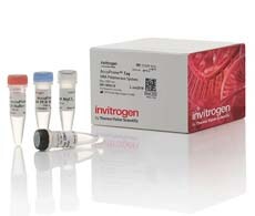 AccuPrime PCR 系统 AccuPrime PCR 系统