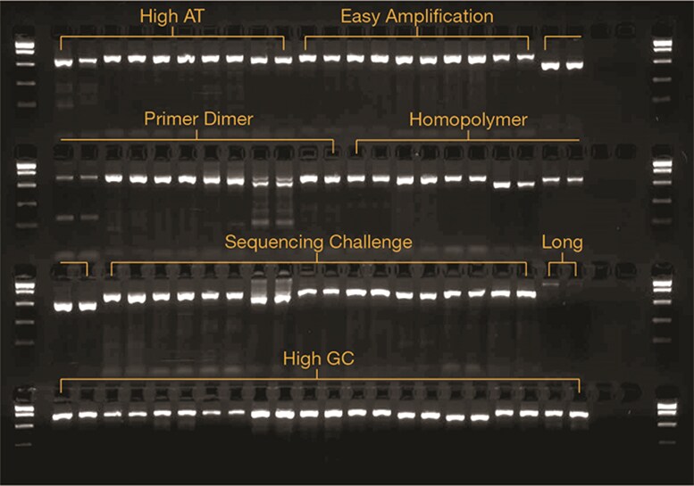 AmpliTaq Gold 360 DNA 聚合酶可扩增多种靶标 AmpliTaq Gold 360 DNA 聚合酶可扩增多种靶标
