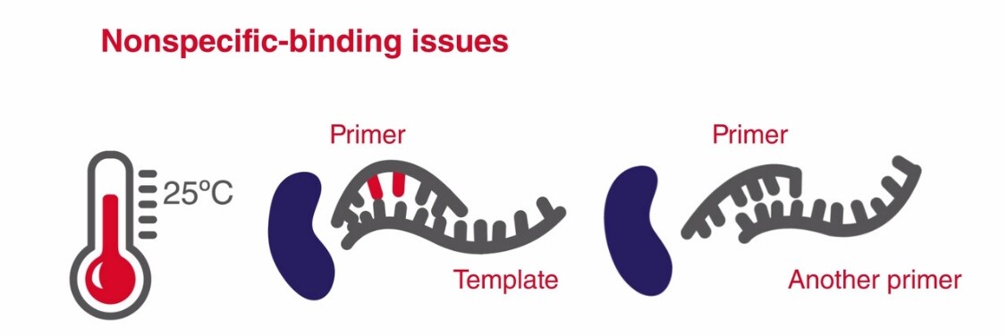 热启动PCR 热启动PCR