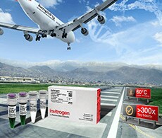 高保真DNA聚合酶 高保真DNA聚合酶