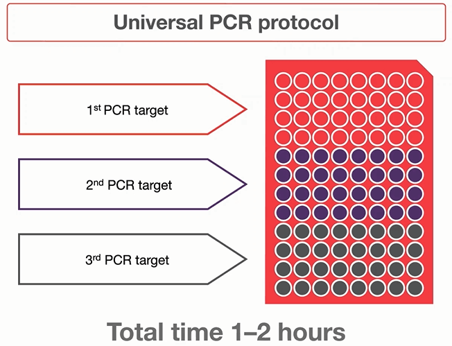 通过通用 PCR 方案实现不同PCR反应的同时扩增。 图解说明了在 1 至 2 小时内用一种通用方案同时扩增 3 种不同 PCR 靶标的重复实验。