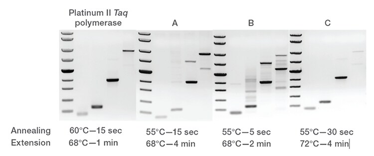 Comparison of co-cycling performance of Platinum II Taq Hot-Start DNA Polymerase with competitor products Gel image of multiple targets amplified from human genomic DNA in a single protocol