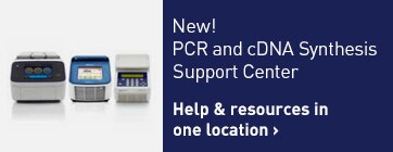 96孔板-384孔板-PCR管、PCR板和配件-赛默飞Applied Biosystems | Thermo Fisher ...