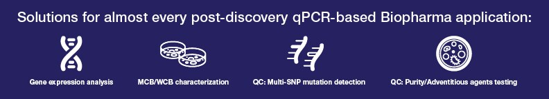 THE-058 qPCR System Graphic M1b-02 THE-058 qPCR System Graphic M1b-02