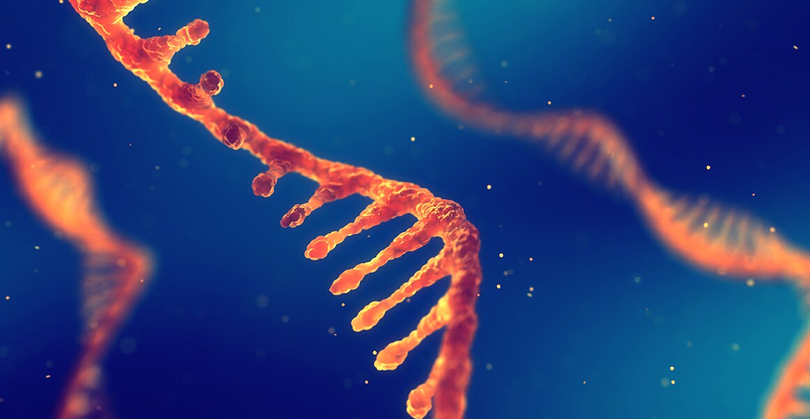 MicroRNA (miRNA) 分析 MicroRNA (miRNA) 分析