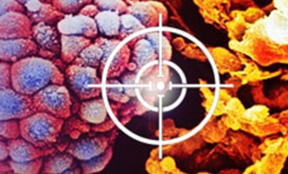 突变检测 突变检测