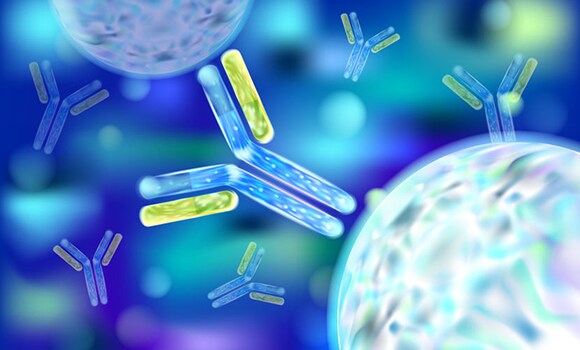 免疫学研究 免疫学研究