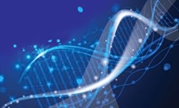 NGS 和微阵列结果验证 NGS 和微阵列结果验证