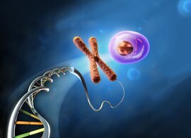 qPCR solutions for inherited disease research qPCR solutions for inherited disease research