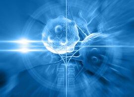 shutterstock_239255980-(1) shutterstock_239255980-(1)