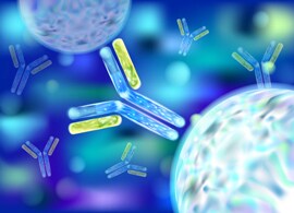 110068852_s 110068852_s