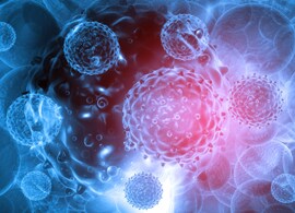 90940888_m 90940888_m