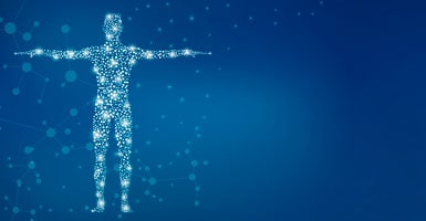 91277577_s 91277577_s