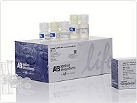 showcase.par.80153.image.0.0.1 showcase.par.80153.image.0.0.1